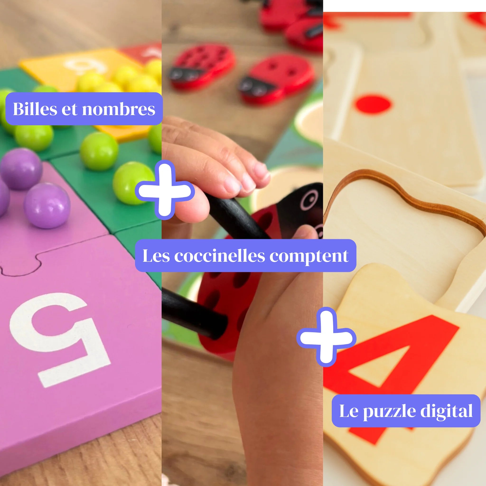 Le pack trio intégral - Phase 1