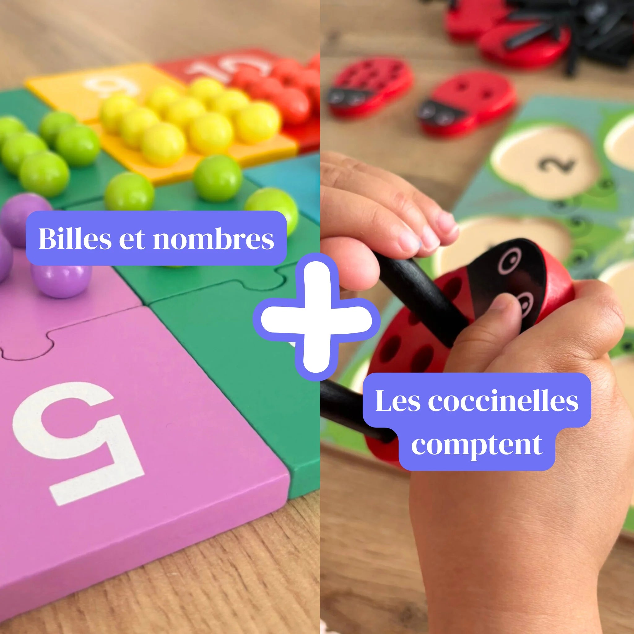 Le pack duo pédagogique - Phase 1