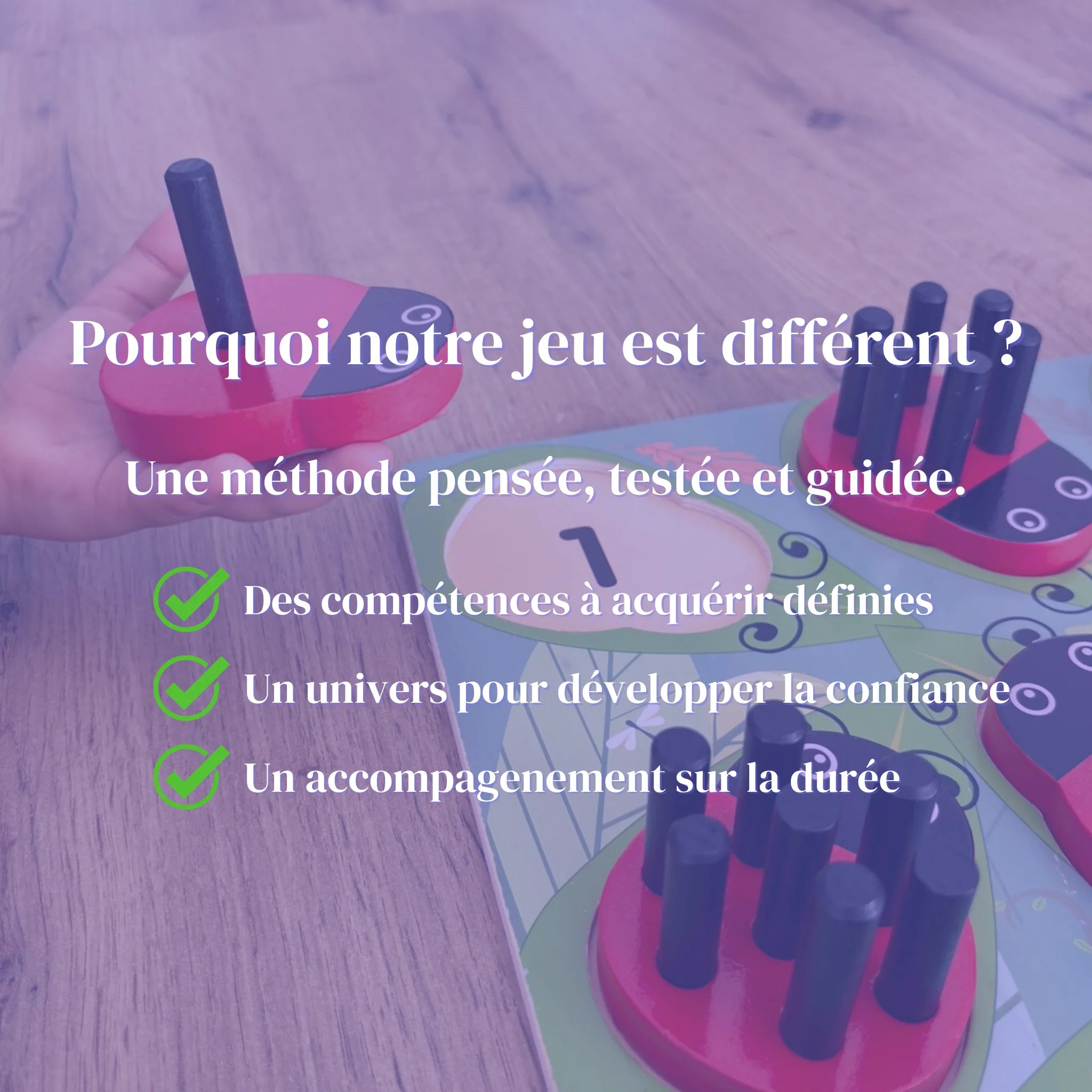 Les coccinelles comptent