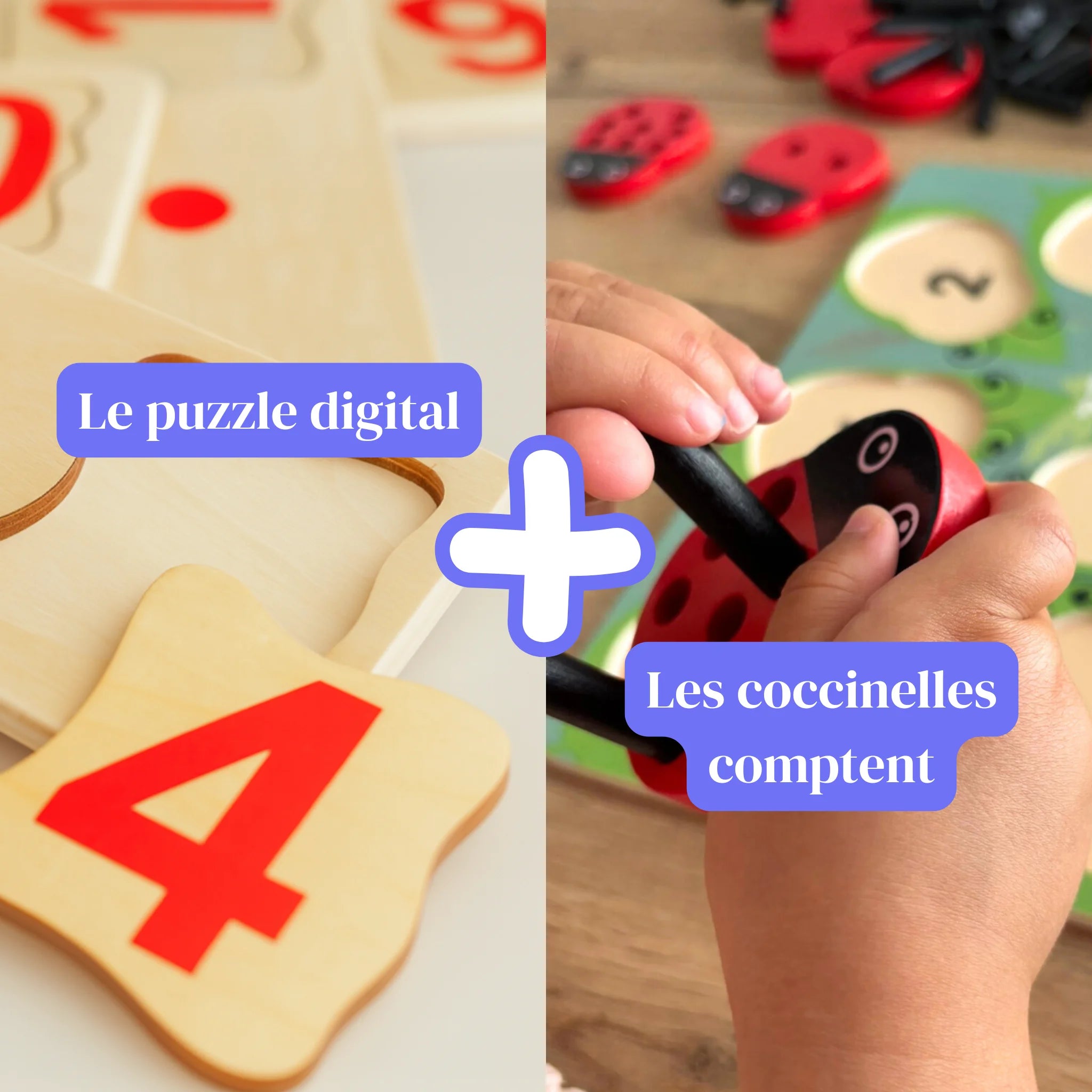 Le pack duo pédagogique - Phase 1